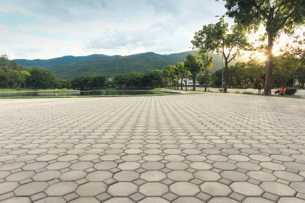 Best Commercial Driveway Pavers  in Forest City, IA